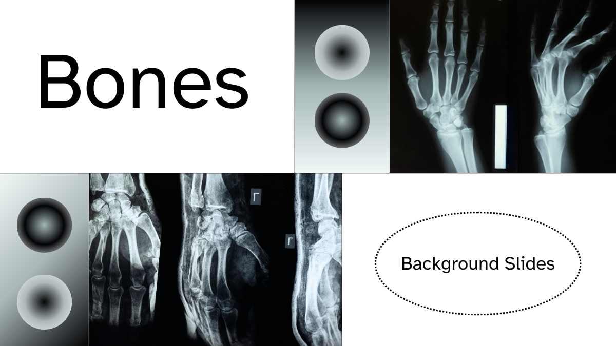 Modern Bone Background Slides - slide 1