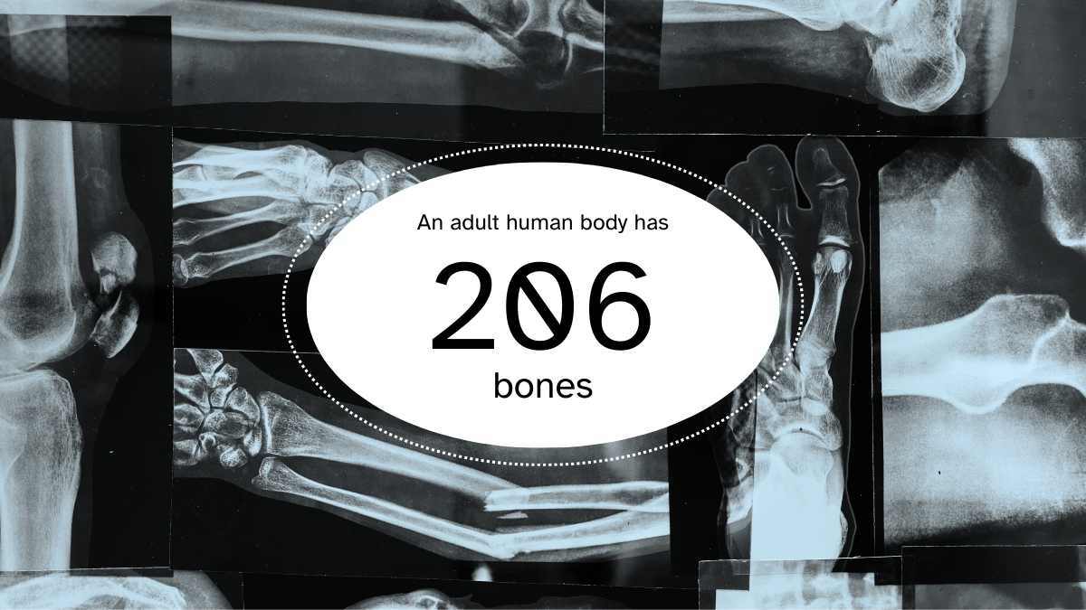 Modern Bone Background Slides - slide 3