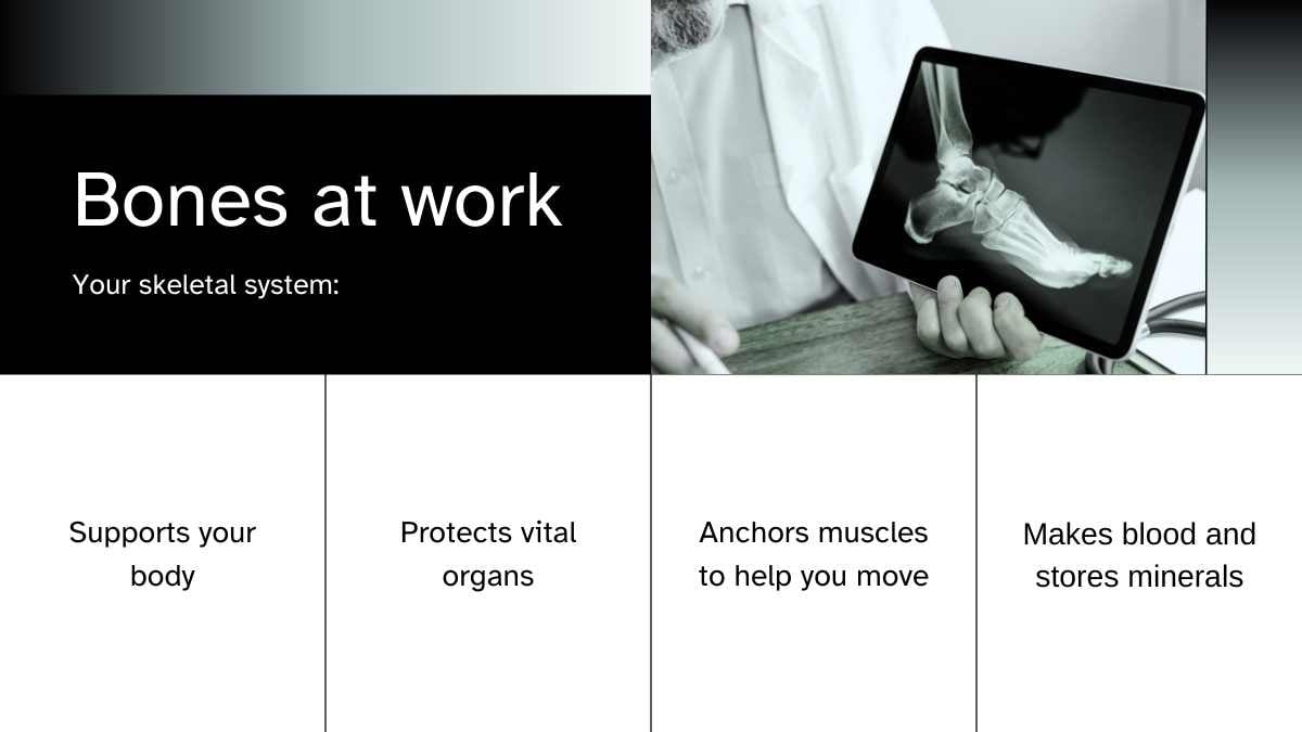 Modern Bone Background Slides - slide 4