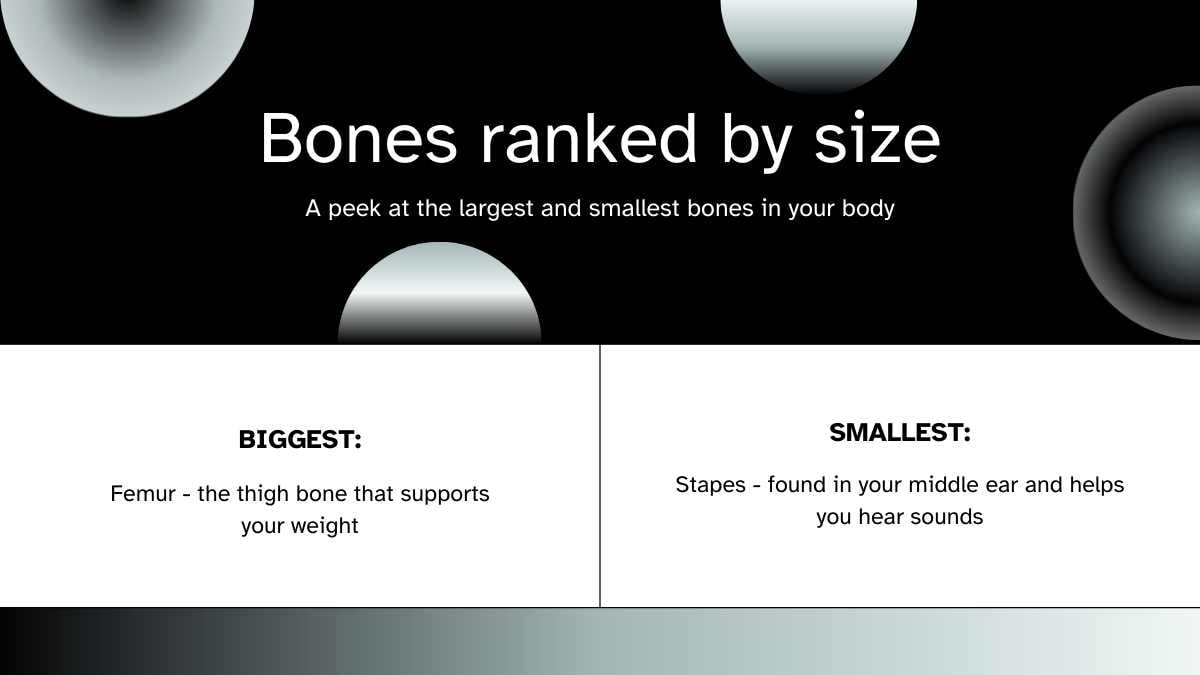 Modern Bone Background Slides - slide 5