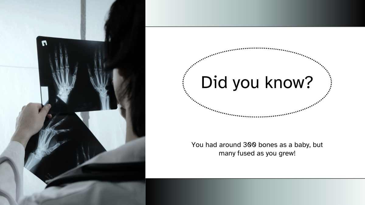 Modern Bone Background Slides - slide 6