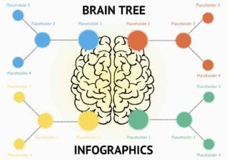 Modern Brain Decision Tree Infographics