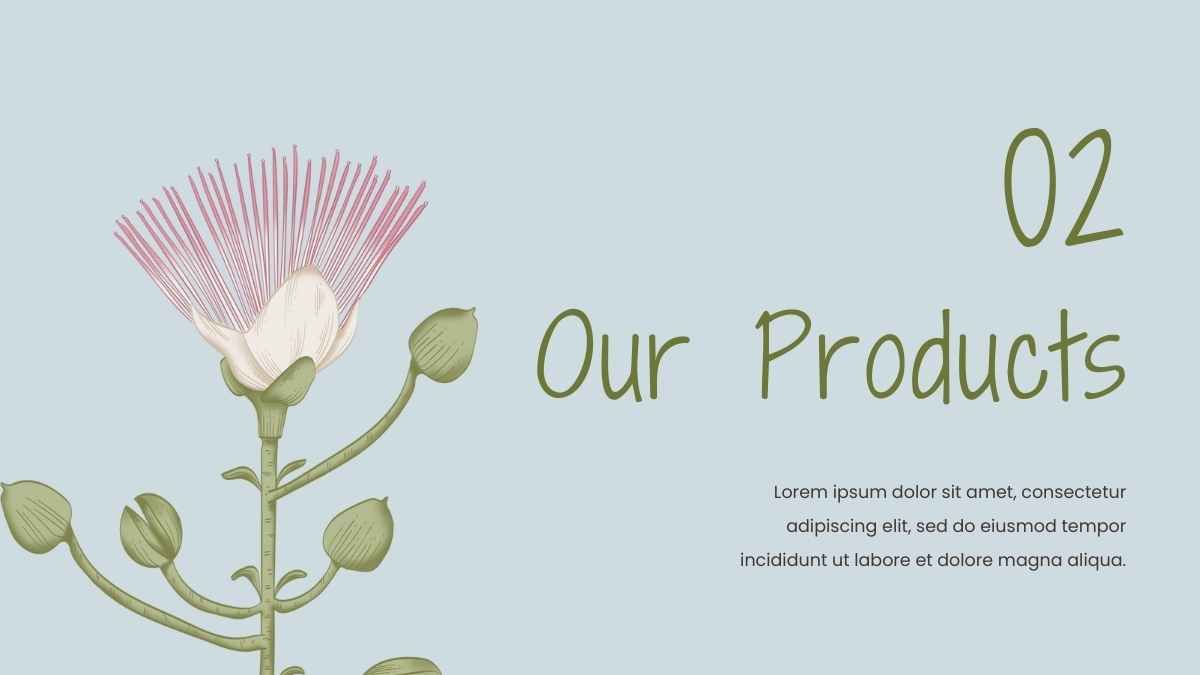 Catálogo de produtos florais modernos para cuidados com os cabelos - slide 11