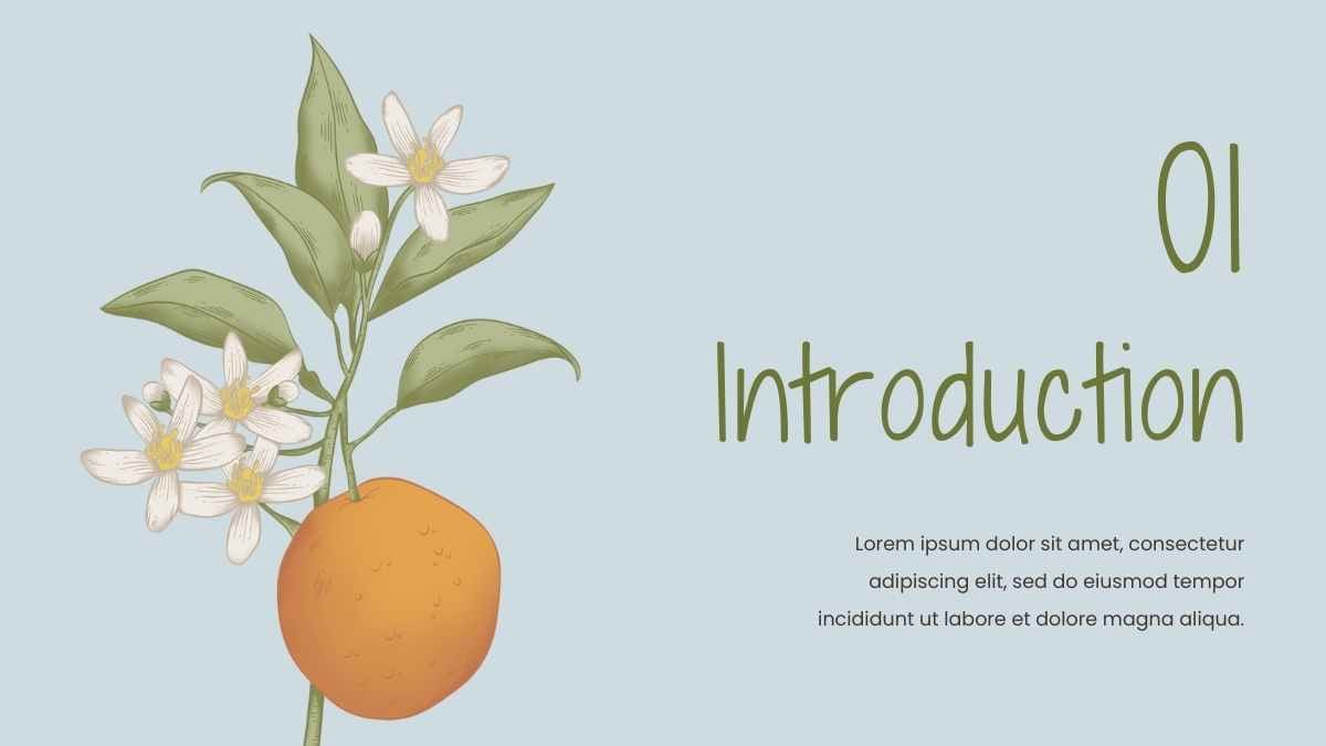 Modern Floral Hair Care Products Catalog Slides - slide 4