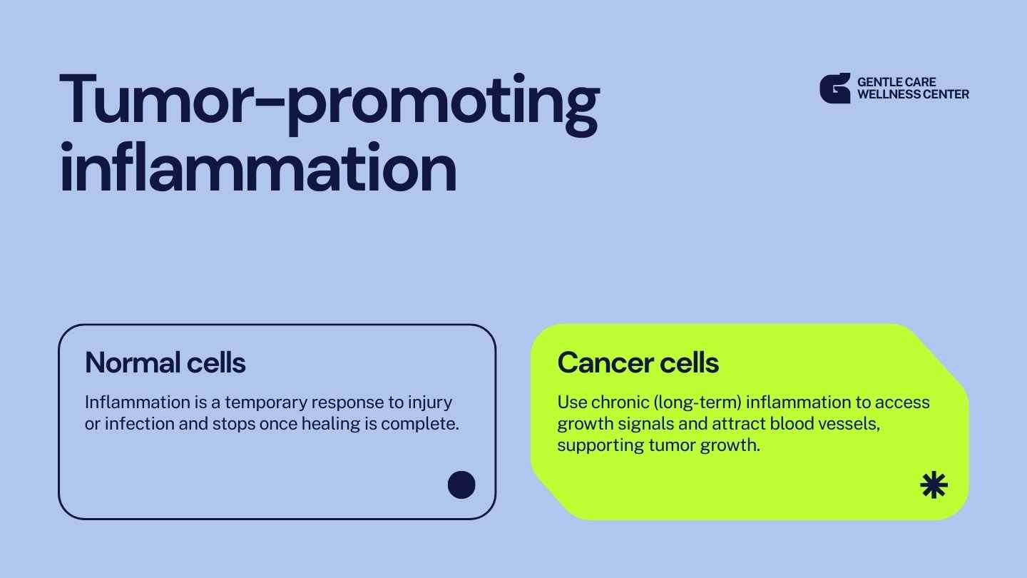 Modern Hallmarks of Cancer Slides - slide 12