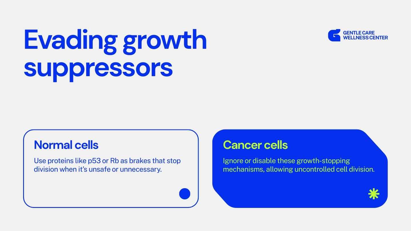 Modern Hallmarks of Cancer Slides - slide 4