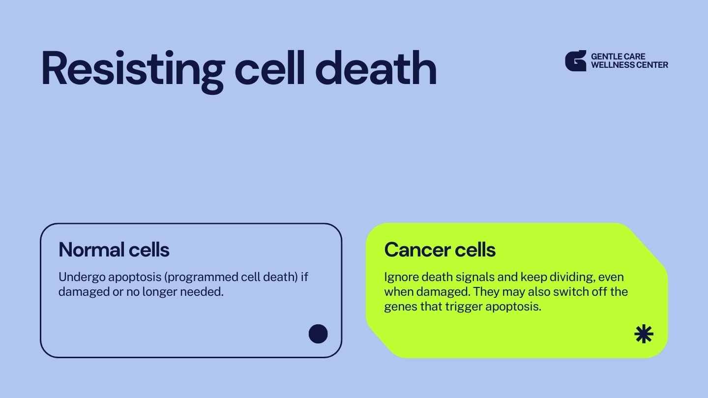Modern Hallmarks of Cancer Slides - slide 5