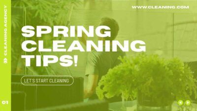 Slides Carnival Google Slides and PowerPoint Template Modern Minimal Spring Cleaning Tips! 2