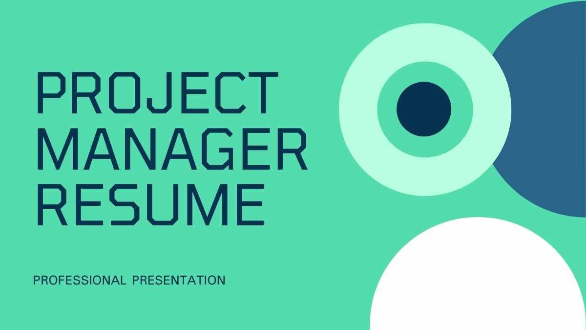 プロジェクトマネージャーの履歴書 - slide 0