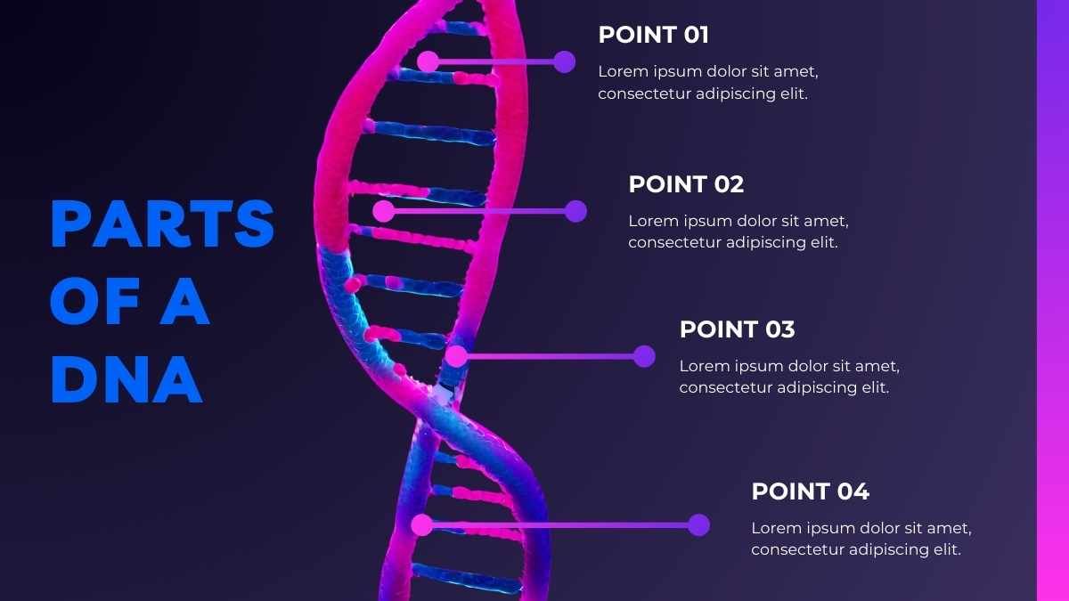 Neon DNA: The Human Body Recipe - slide 9