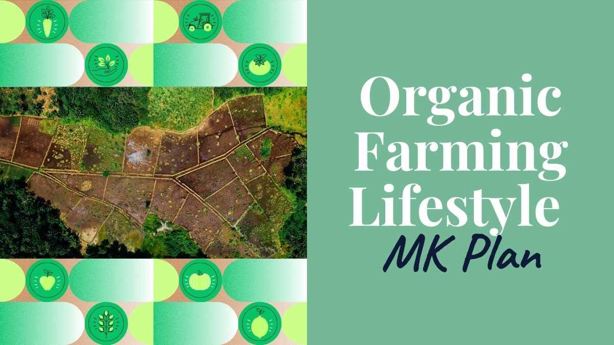 유기 농업 라이프스타일 MK 계획 - slide 0