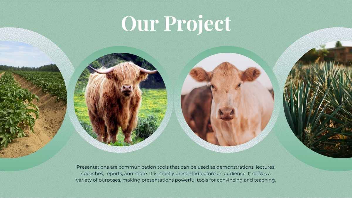 유기 농업 라이프스타일 MK 계획 - slide 8