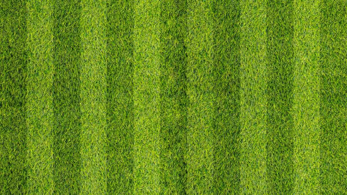 Photo-centric Soccer Field Background - slide 5