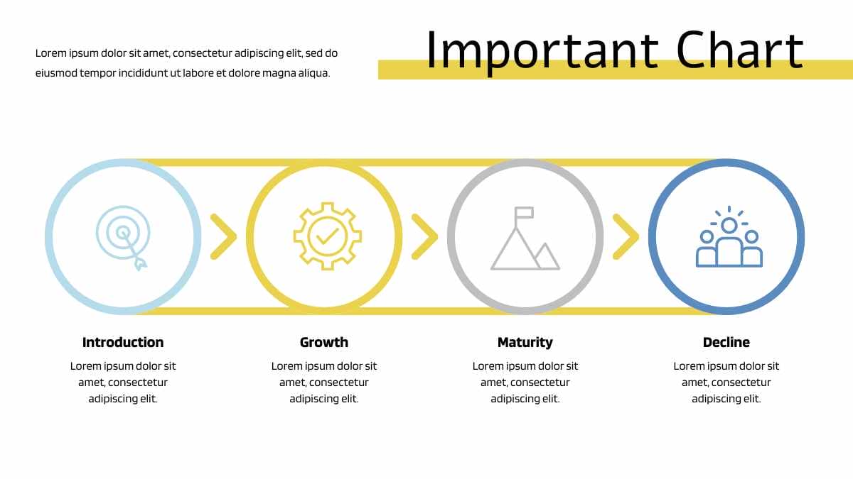 Modern Minimal Product Life Cycle Infographic - slide 5