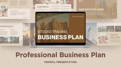 Professional Business Plan