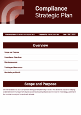 Professional Compliance Strategic Plan 1