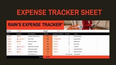 Professional Expense Tracker Sheet