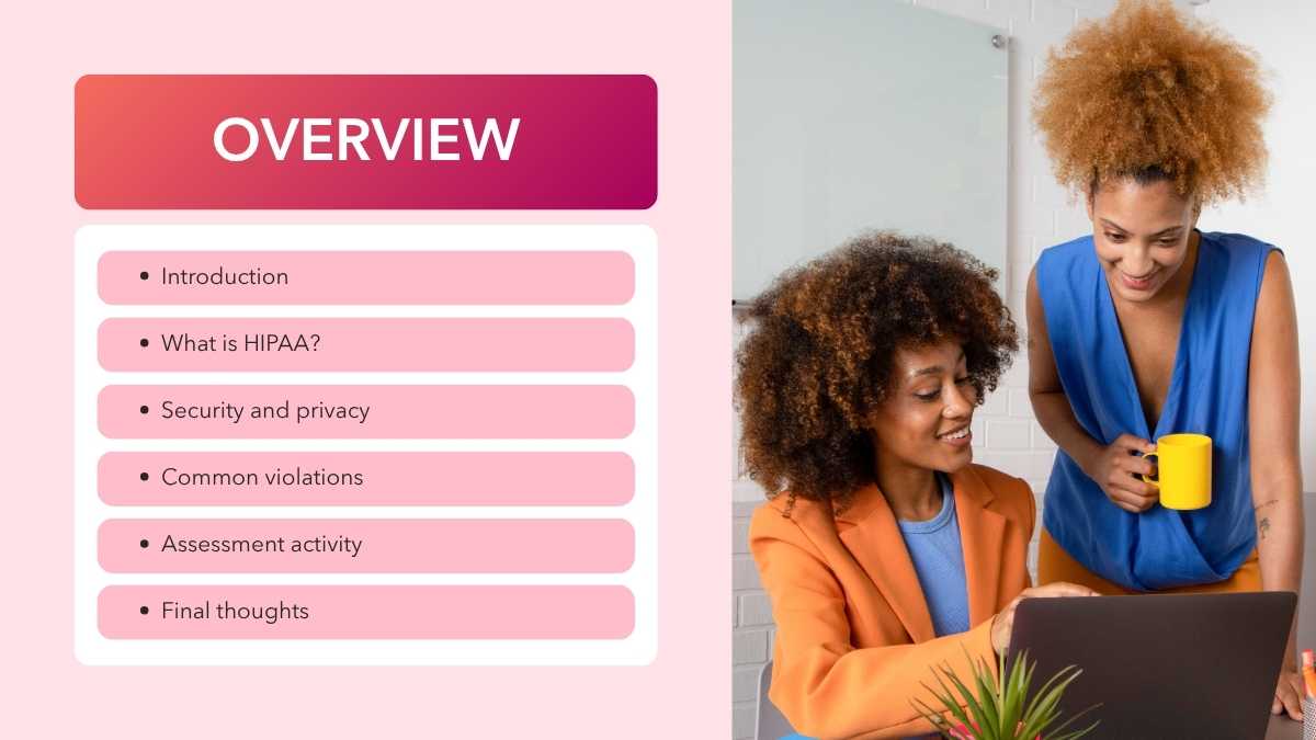 Professional HIPAA Training Slides - slide 2