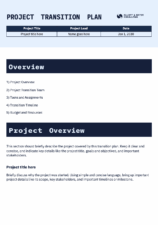 Professional Project Transition Plan 1