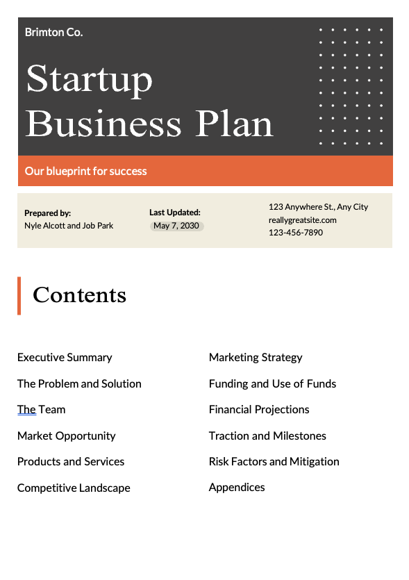 Professional Startup Business Plan - slide 1