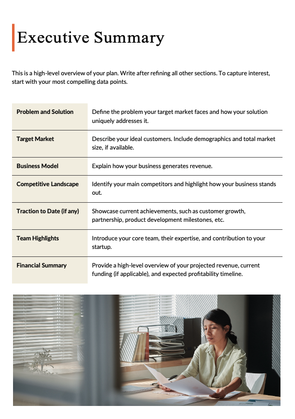 Professional Startup Business Plan - slide 2