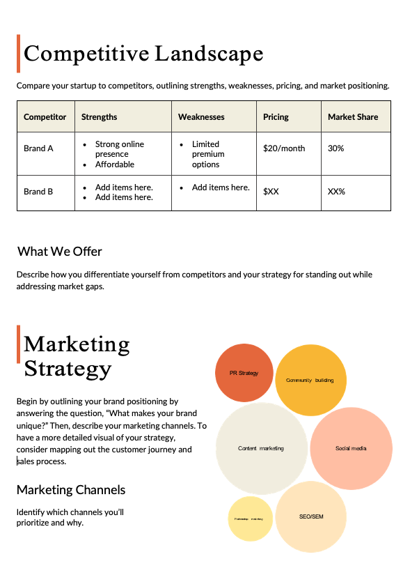 Professional Startup Business Plan - slide 9
