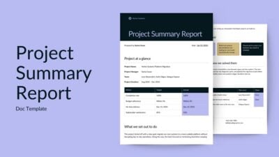 Project Summary Report Doc