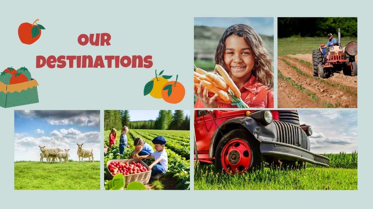 Illustrated Farm Agriculture Field Trip Slides - slide 9