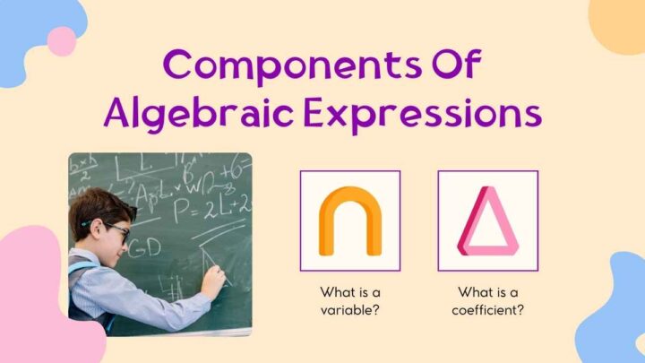 Representing and Translating Algebraic Expressions Math Lesson for ...