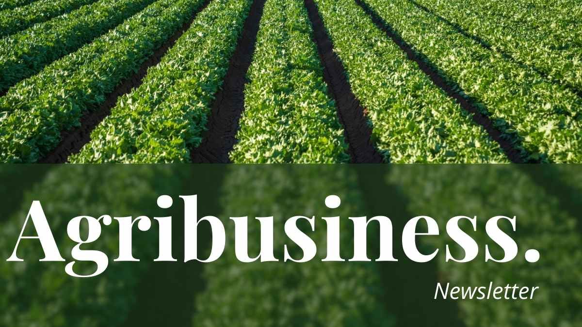 간단한 농업 비즈니스 뉴스레터 - slide 0