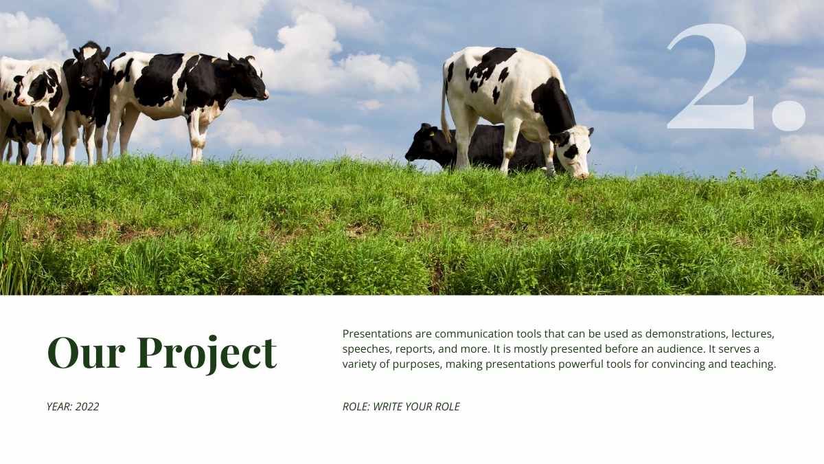 간단한 농업 비즈니스 뉴스레터 - slide 9