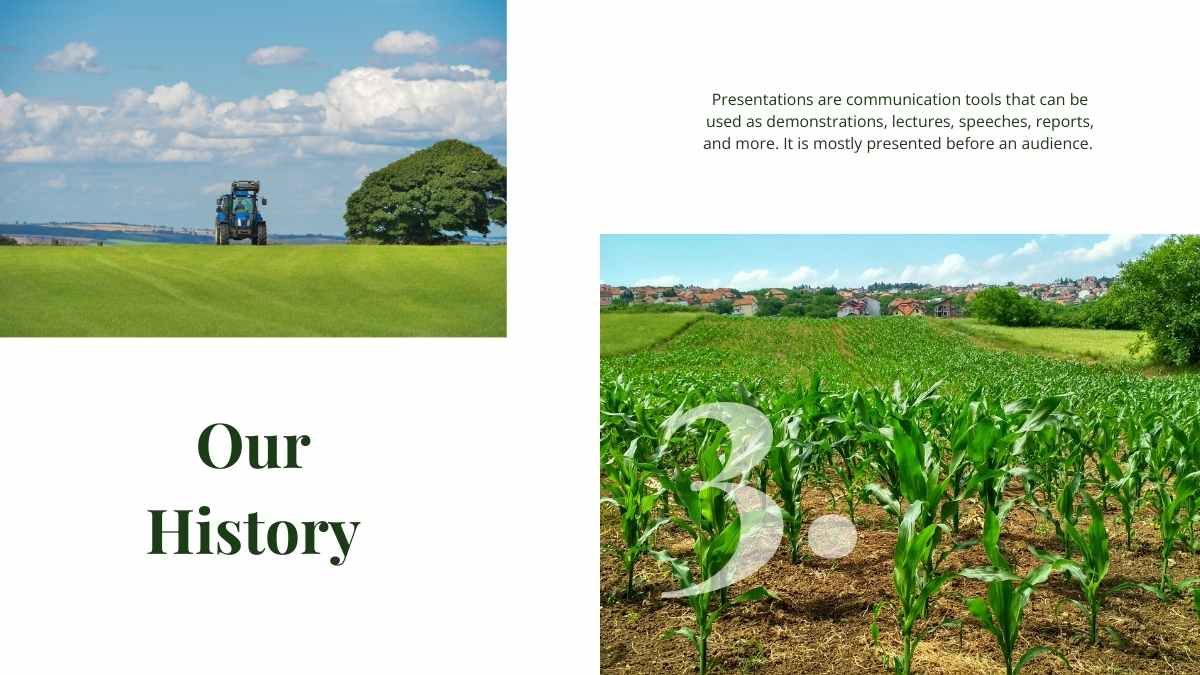 간단한 농업 비즈니스 뉴스레터 - slide 13
