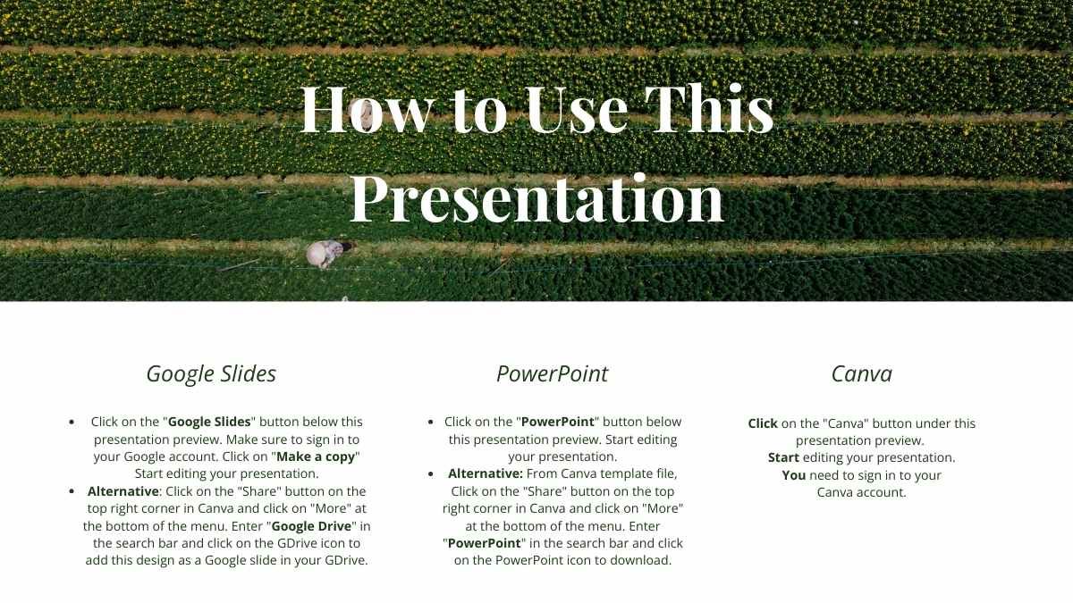 Simple Agribusiness Newsletter - slide 1