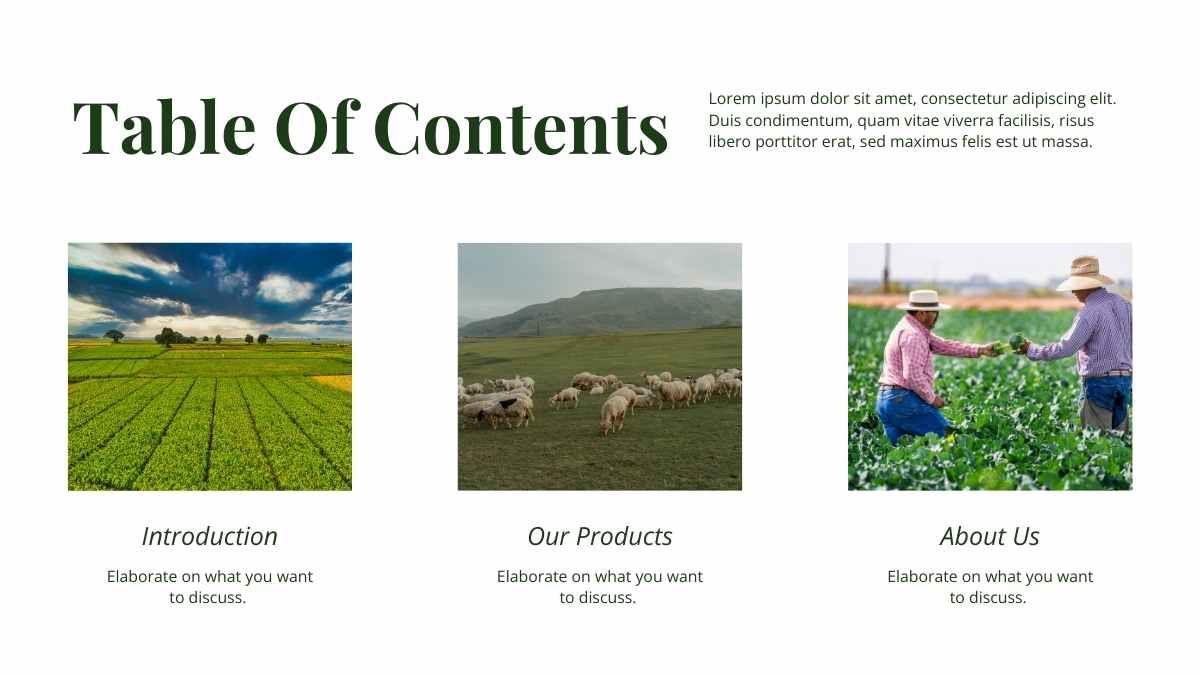 간단한 농업 비즈니스 뉴스레터 - slide 2