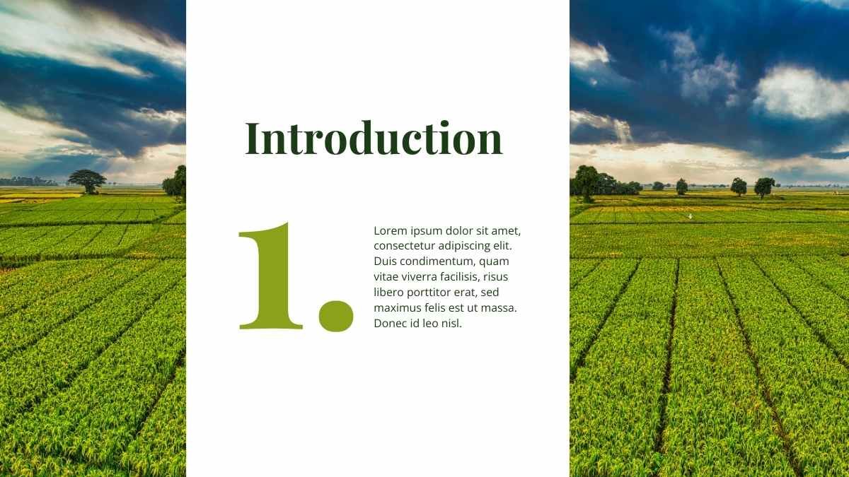 Simple Agribusiness Newsletter - slide 3