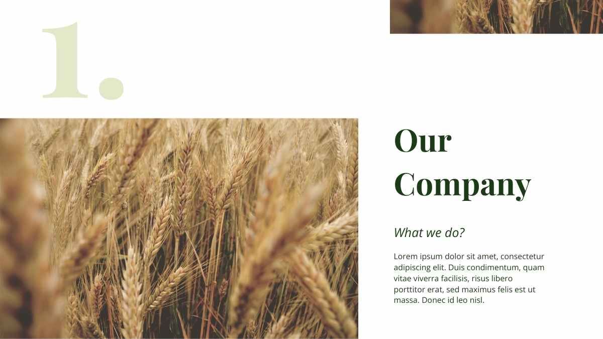 간단한 농업 비즈니스 뉴스레터 - slide 6
