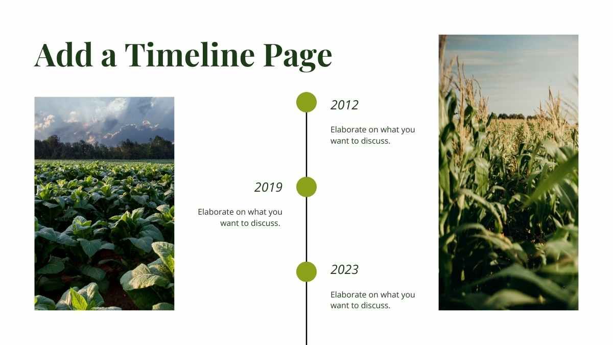 Simple Agribusiness Newsletter - slide 7