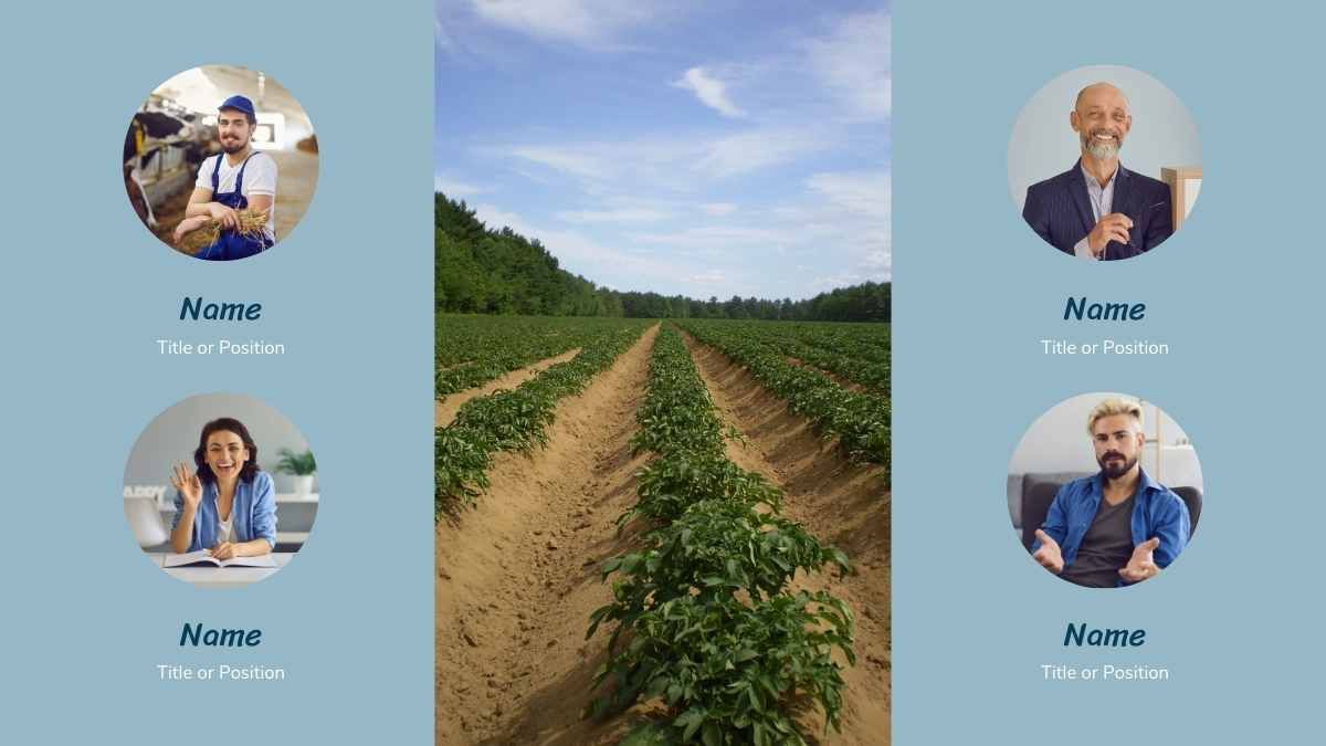 Revolución Agrícola Simple: Tecnología en la Productividad Agrícola - diapositiva 13