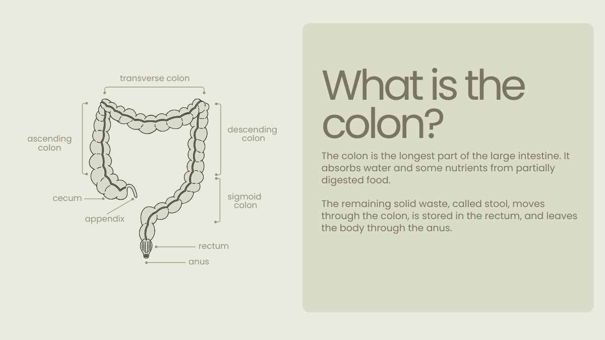 Simple Colon Cancer Slides - slide 3