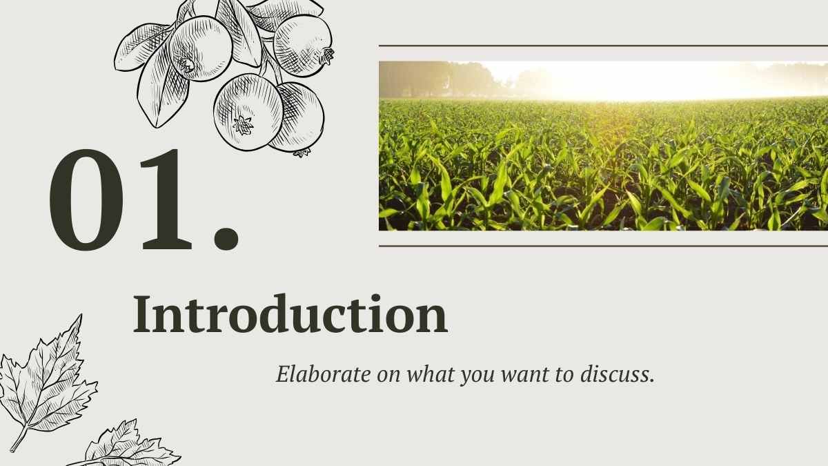 Reunión simple ilustrada del mercado de agricultores - diapositiva 3