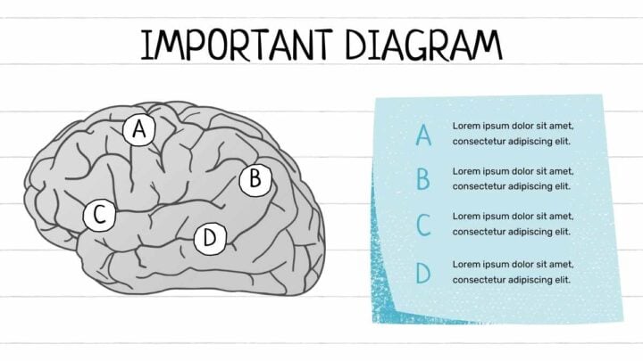 Left Brain Right Brain. Free PPT & Google Slides Template — SlidesCarnival