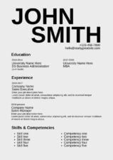 Simple Sales Manager CV Resume