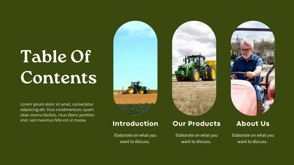 Plan de negocios sencillo para concesionaria de tractores - diapositiva 2