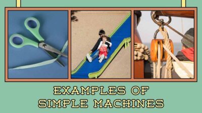 Simple and Complex Machines Science Lesson for Elementary. Free Lesson ...