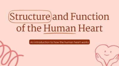Structure and Function of the Human Heart 1