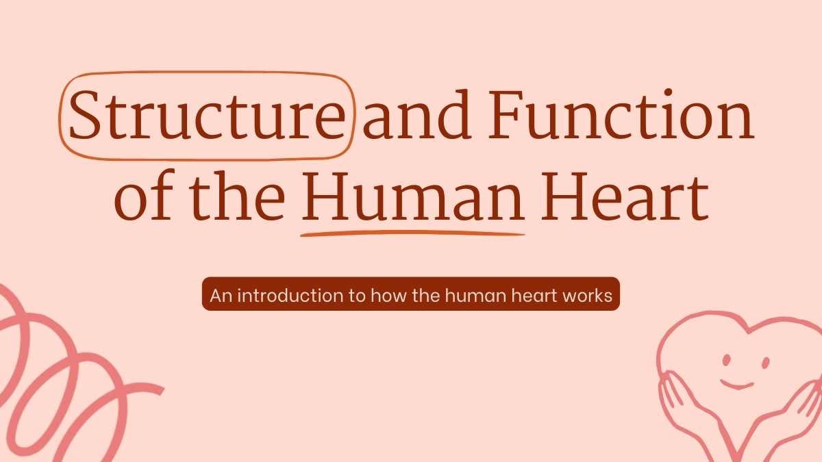 Structure and Function of the Human Heart - slide 1