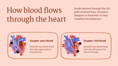 Structure and Function of the Human Heart. Free PPT & Google Slides ...