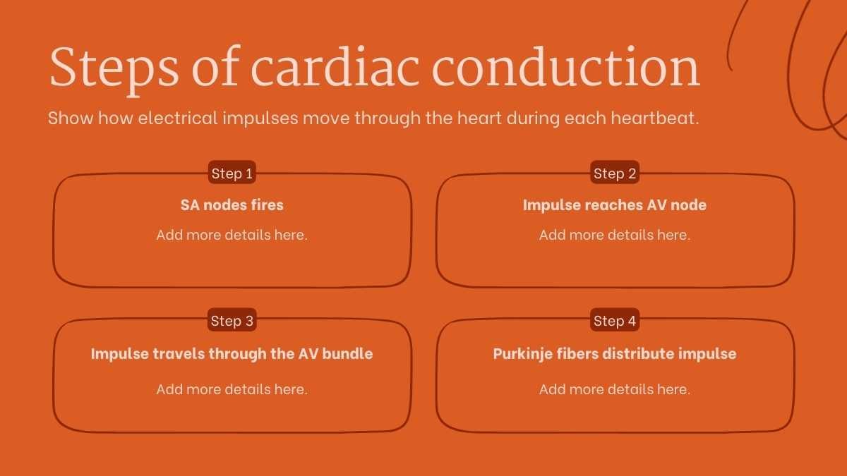 Structure and Function of the Human Heart - slide 12
