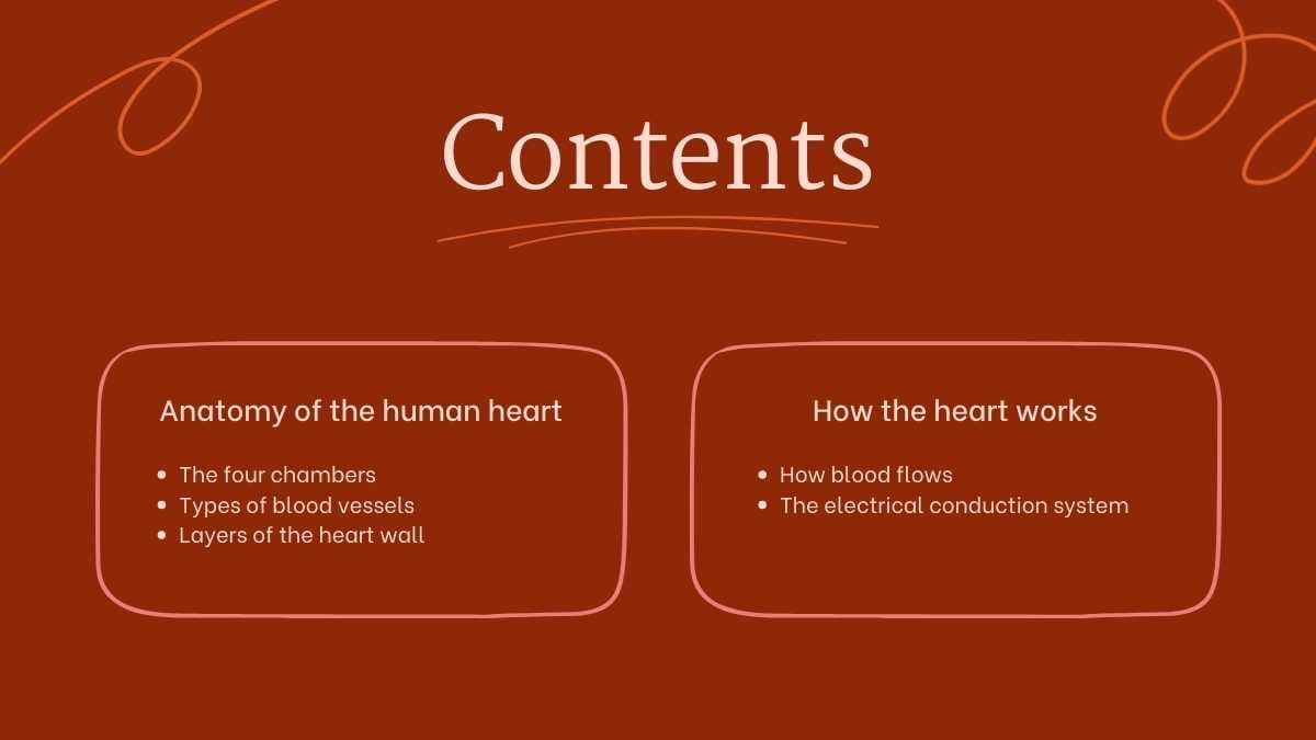 Structure and Function of the Human Heart - slide 2