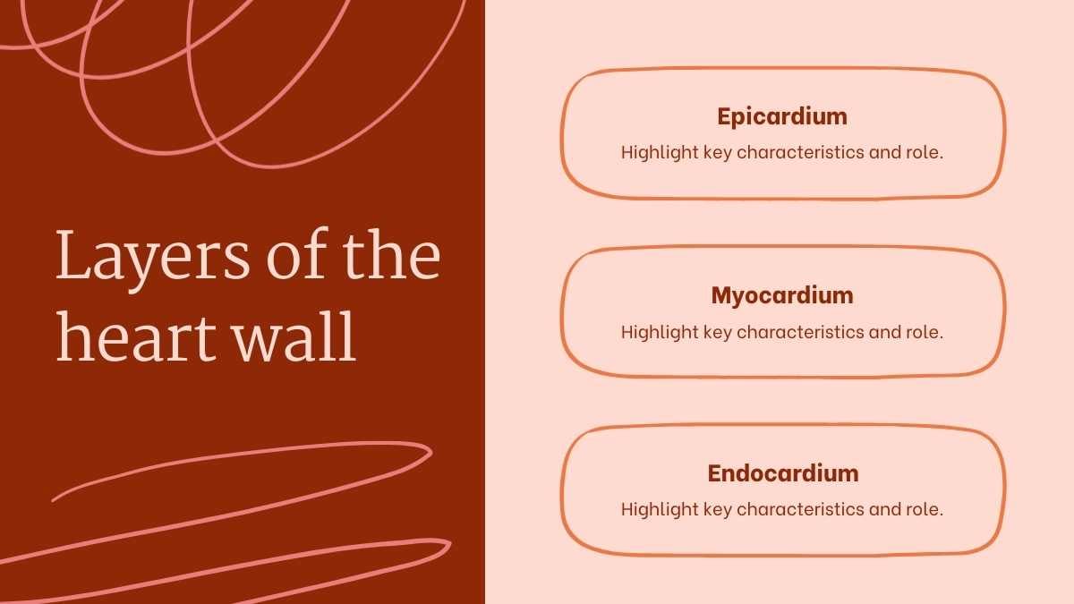 Structure and Function of the Human Heart - slide 7